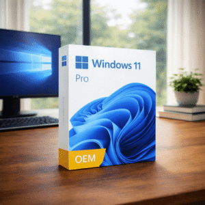 Windows 11 Pro OEM
